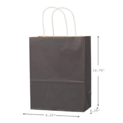 Hallmark 10.7" 12-Pack Assorted Kraft Paper Gift Bags -Hallmark Gift Shop 10.7 Prints and Solids 12Pack Assorted Gift Bags 5EGB6051 03