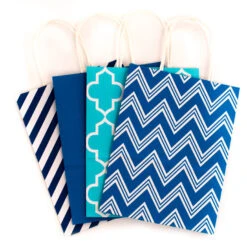 Hallmark 10.7" 12-Pack Assorted Kraft Paper Gift Bags -Hallmark Gift Shop 10.7 Prints and Solids 12Pack Assorted Gift Bags 5EGB6051 05