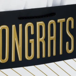 Hallmark 13" Assorted Grad Designs 3-Pack Large Gift Bags With Tissue Paper -Hallmark Gift Shop Assorted Grad Designs 3Pack Large Gift Bags With Tissue Paper 5GBC1015 05