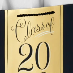 Hallmark 13" Assorted Grad Designs 3-Pack Large Gift Bags With Tissue Paper -Hallmark Gift Shop Assorted Grad Designs 3Pack Large Gift Bags With Tissue Paper 5GBC1015 06