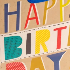 Hallmark Bold Birthday 3-Pack Assorted Gift Bags With Tissue -Hallmark Gift Shop Bold Birthday 3Pack Small and Large Gift Bags Tissue 5EGB6054 06