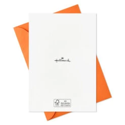 Hallmark Boo To You Boxed Halloween Cards Assortment, Pack Of 36 -Hallmark Gift Shop Boo to You Boxed Halloween Cards Assortment 5ELT1011 08