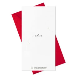 Hallmark Colorful And Casual Money-Holder Boxed Christmas Cards Assortment, Pack Of 36 -Hallmark Gift Shop Festive Assorted MoneyHolder Boxed Christmas Cards 5CZE2139 08