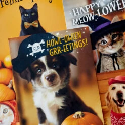 Hallmark Pet Puns Boxed Halloween Cards Assortment, Pack Of 48 -Hallmark Gift Shop Pet Puns Boxed Halloween Cards Assortment 5ELT1013 03