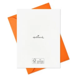 Hallmark Pet Puns Boxed Halloween Cards Assortment, Pack Of 48 -Hallmark Gift Shop Pet Puns Boxed Halloween Cards Assortment 5ELT1013 05