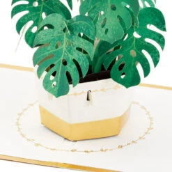 Hallmark Plant In Pot 3D Pop-Up Thinking Of You Card 11 Hallmark Plant In Pot 3D Pop-Up Thinking Of You Card -Hallmark Gift Shop Plant in Pot 3D PopUp Thinking of You Card 1299LAD2900 03