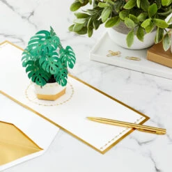 Hallmark Plant In Pot 3D Pop-Up Thinking Of You Card 15 Hallmark Plant In Pot 3D Pop-Up Thinking Of You Card -Hallmark Gift Shop Plant in Pot 3D PopUp Thinking of You Card 1299LAD2900 07