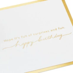 Hallmark It's Your Day Puppy In Present 3D Pop-Up Birthday Card -Hallmark Gift Shop Puppy in a Present 3D PopUp Birthday Card 1299LAD2883 03